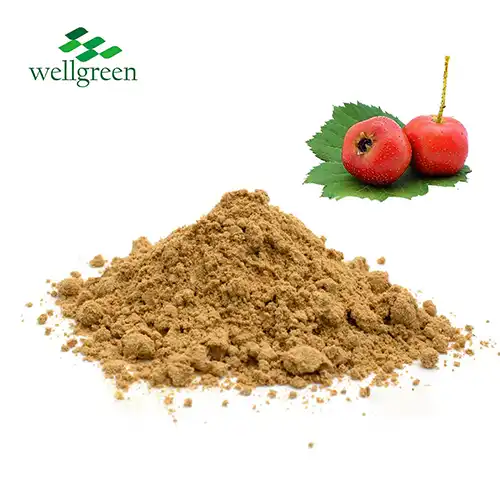 Hawthorn Extract Powder